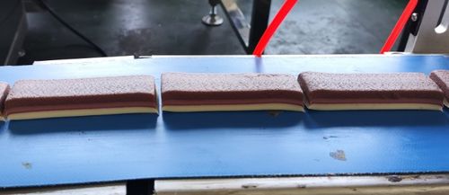 Latest company Solutions about Success Story: Delivering Argentina's First Three-Layer Chocolate Protein Bar for Carles