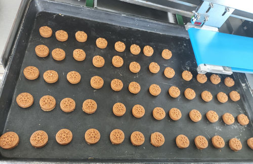 Latest company blogs about From Home Kitchen to High-Efficiency Production! US Home-Based Cookie Business Achieves 4000-Pieces-Per-Hour Breakthroug