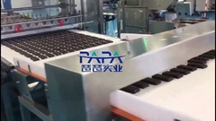 PAPA Energy protein bar production line #proteinbar #proteinbar #energybar #energybars #protein