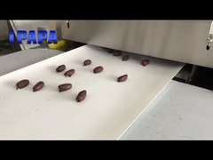 400mm chocolate dipped dates enrobing machine for Dubai customer / آلة تغليف الشوكولاتة