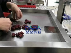 vertical food package machine CP01