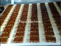 PAPA Snicker Mars Twix candy bar production line
