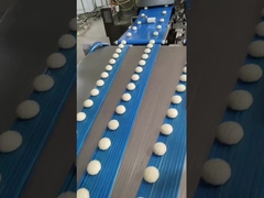 How an Auto-Arranging Tray System Works – High-Speed Food Production Line