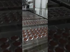 Chocolate production line