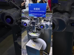Tapioca Pearls Making Machine - 200pcs/min | Fully Automatic Production Line