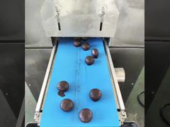 argentina customer come to our factory and learn how to make energy ball