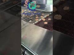 walnut with chocolate coating