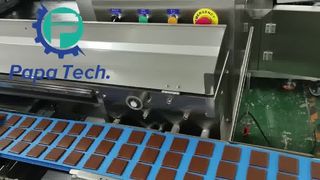 Papa Machine P307 Cracker Production Line – 3 Rows Output in One Line