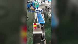 oatmeal protein ball production line