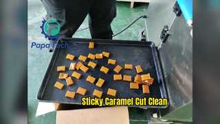 P308 Extruder Machine with Ultrasonic Cutter for Caramel Bar Production