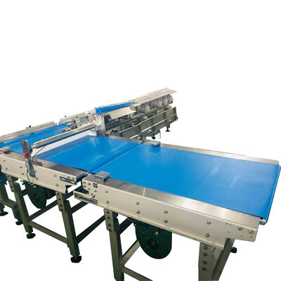 Good price Food Flow Wrapping Machine Automatic Sorting Line Packaging Equipment Use online