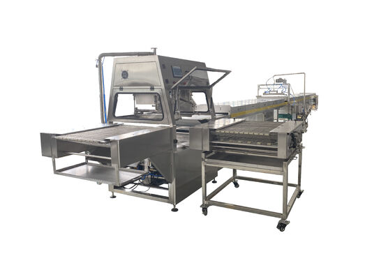 Good price Automatic Feeding 400mm Wide Chocolate Enrobing Machine Double Layer Coating with Cooling Tunnel online