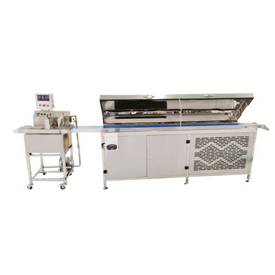 Good price PE8 Stainless Steel 304 Chocolate Enrobing Machine with 220V Single Phase and 8kg Capacity online